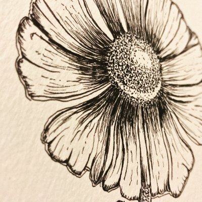 Saimajawaid1's profile picture. 