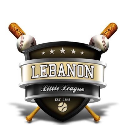 A community sports organization that charters the Little League International Baseball and Softball programs.
