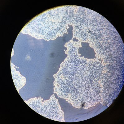 au cas où vous auriez un doute mes tweets & retweets n’engagent que moi :)