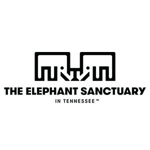 The Elephant Sanctuary in Tennessee is America's largest natural habitat refuge for #elephants. Licensed by the USDA and TWRA. #GFAS accredited. #AZA certified.