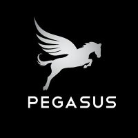 Pegasus(@iPegasusImagery) 's Twitter Profile Photo