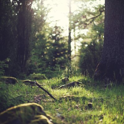 Sageness4L's profile picture. Wisdom for life. 

Sabiduría para la vida 

Sagesse pour la vie