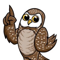 Mid Cape Global Academy (@midcapeglobal) 's Twitter Profile