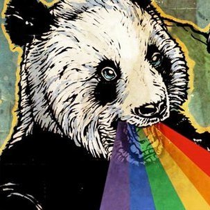 BGPAnda_rainbow's profile picture. 🌈🐼