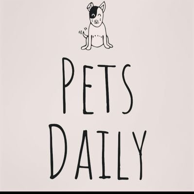 PetsDaily1's profile picture. Welcome to Pet Daily's twitter page!!
We are a small home run business hoping to one day open a store.

Also on Insta & Facebook 

#petsalldayeveryday