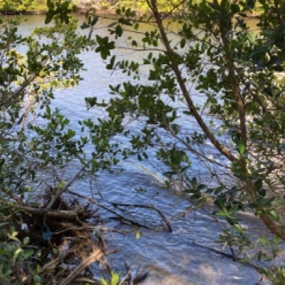 stopthe60404966's profile picture. 