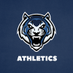 Lincoln University (Missouri) Athletics (@GoBlueTigers) Twitter profile photo