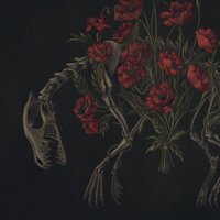 nat 🇵🇸 + 🚬🐀 (@ashesforfoxes) 's Twitter Profile