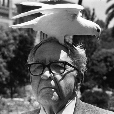 jansillero's profile picture. 