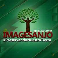 Imagesanjo🌳🍃 (@imagesanjo_10) 's Twitter Profile