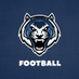 Lincoln University (Missouri) Football (@LUMO_FB) Twitter profile photo