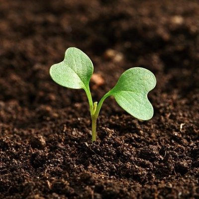 ProsperInAfrica's profile picture. 