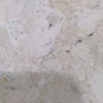 Nasir14751917's profile picture. 