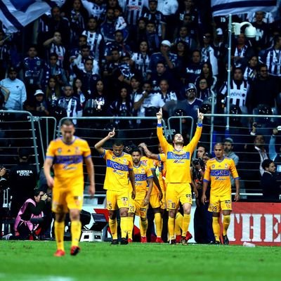 tigresrc's profile picture. tigre de ♥️.