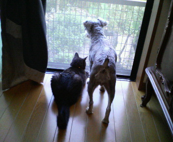 mitoro7's profile picture. 趣味は、自分で作った陶芸作品でご飯を食べること、テンカラで渓流釣り、山菜摘み、きのこ狩り～。どうぞよろしく