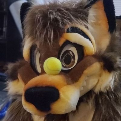 Just me being crazy old me. Fursuiter, Dirt Biker,Content Creator,Programmer.36/M. Corrosion Expert. wierdo.friend to all. you are awesome. SSC⛓️ Warning: Bites