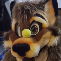Your Royal Fluffiness(@WolfyLion) 's Twitter Profile Photo