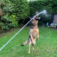 Philip Porter (@pdrporter) 's Twitter Profile Photo