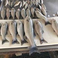 BM (@brian25mac) 's Twitter Profile