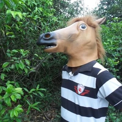GAJA DO CRLH, ADORO PALHA, FENO E QUÊS. 

NA GOLEGÃ FUI PARTIDA POR 7 LUSITANOS DE ALTER DO REAL. 

VOLTA E MEIA, COICE A FACHOS E A NEO-LIBS DE CONSERVA.