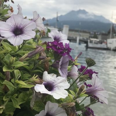 abomohand6's profile picture. 