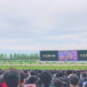 競馬アカです！回収率重視の穴党 ワイド万馬券をとるために日々鍛錬中。