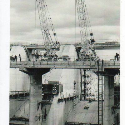 BoobyTring's profile picture. Mostly friendly except on Fridays. Can be sarcastic with just a hint of dark humor, in other words "All the good stuff."