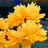 Gartenkraeuter's profile image