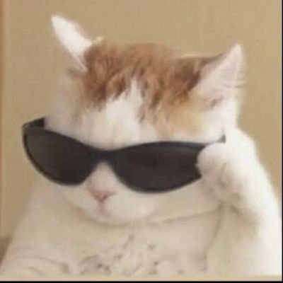 novinhoxx__'s profile picture. bi... 
chama q eu não consigo ou segue pra eu chamar