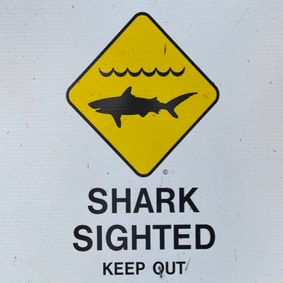 mogafl's profile picture. Adventurer, programmer, (options) trader