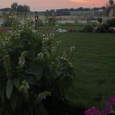 Jewel_AY's profile picture. (وَأَنَّهُ هُوَ أَضْحَكَ وَأَبْكَىٰ) #الرفق_بالحيوان