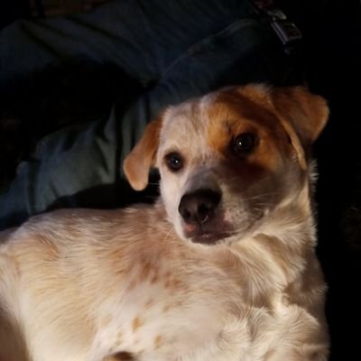 Megnutz1's profile picture. artist