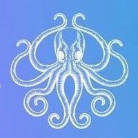 •madkal 🐙 studio•(@MadkalStudio) 's Twitter Profile Photo