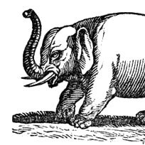 ElephantRevenge's profile picture. #bitcoin