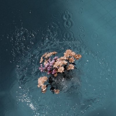 Classical_veil's profile picture. https://t.co/nDv4ZDx5Jd