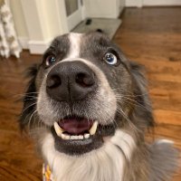 Mark Chapman (@fastmovingfotos) 's Twitter Profile Photo