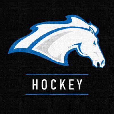 UAH Hockey