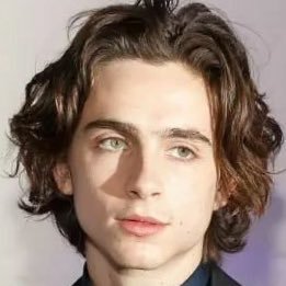 rating how much people look like timothee chalamet