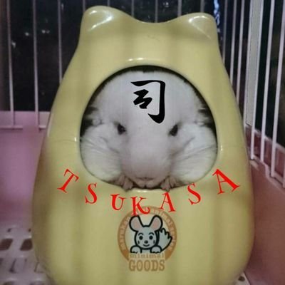 JNqa4xHYwyc3iKd Profile Picture