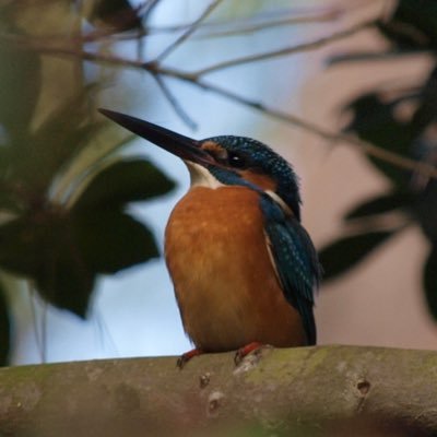 0UHcHNxqktYP89O's profile picture. 