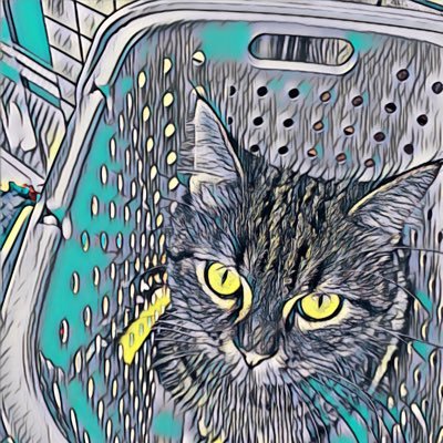 kojipoi3's profile picture. 