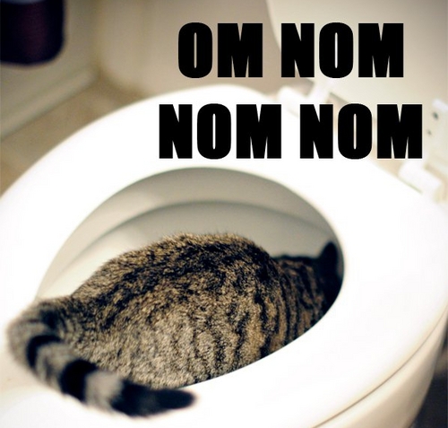 Random findings on the interwebs that make me chuckle