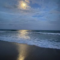 Amanda Dunstan (@duns3399) 's Twitter Profile Photo