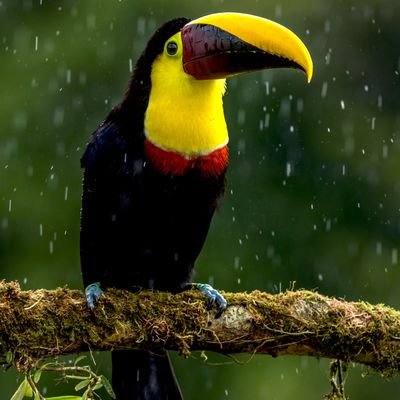 nileshvthakkar's profile picture. Being alone