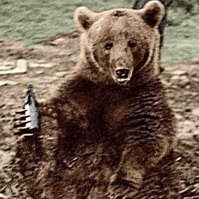 #Bitcoin #Ethereum #Altcoins (Bull) Always Do Your Own Research (DYOR)