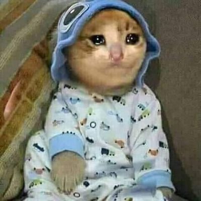 اللهم إني أسألك بالا مطمئنا وشاكرا لما قسمته لي. ..😴🥀
ماهو ما ممكن الحساب الرابع يتقفل 😩😩☹️💔
رد الفلووو ياجميل 😊😅🤤