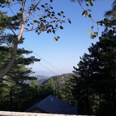 TrueLoverofPK's profile picture. وَتُعِزُّ مَن تَشَاءُ وَتُذِلُّ مَن تَشَاءُۖ 
#MUSLIM 
Strong Believer of Equality and Democracy, 
Current Affairs, 
Seriously Want 
#Prosperity in#Pakistan