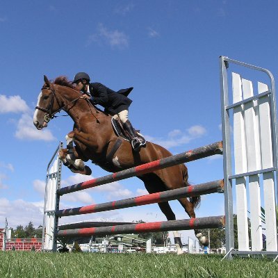 馬がテーマのクラウドファンディング！さんのプロフィール画像