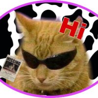 ! (@hello_mashop) 's Twitter Profile