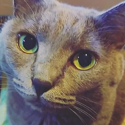 つぅー子さんのプロフィール画像